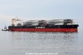 Ultra Ocelot JG-140824-1.jpg
