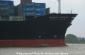 Hanjin-Bug.jpg