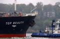 Top Beauty Bug und Schlepper-1.jpg