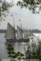 Elbe (011006-2).jpg