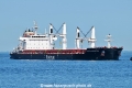 Rostrum Antarctica OS-210625-03.jpg