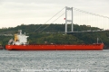 Ultra Panther (OK-011013-4).jpg