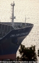 CMA CGM Strauss Bug 271004-2.jpg