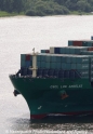 CSCL Los Angeles Bug 18604-2.jpg