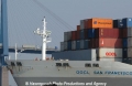 OOCL-Truck-Bug 30304.jpg