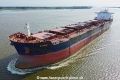 W-Star TL-220824-6.jpg