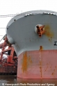 Bulker-Bug 2907-1.jpg