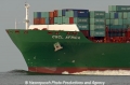 CSCL Africa Bug 24805-1.jpg