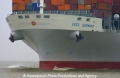 OOCL Germany Bug-1.jpg