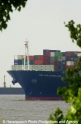 CMA CGM Baudelaire Bug-1.jpg