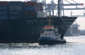 Hanjin Pretoria Bug 30702-2.jpg