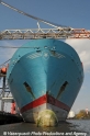 Bug-MaerskCon 13408-3.jpg